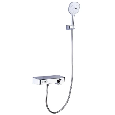 Home Furniture Sanitary Ware Shower Set Shower Faucet Shower with Diverte Rain Shower Hand Shower